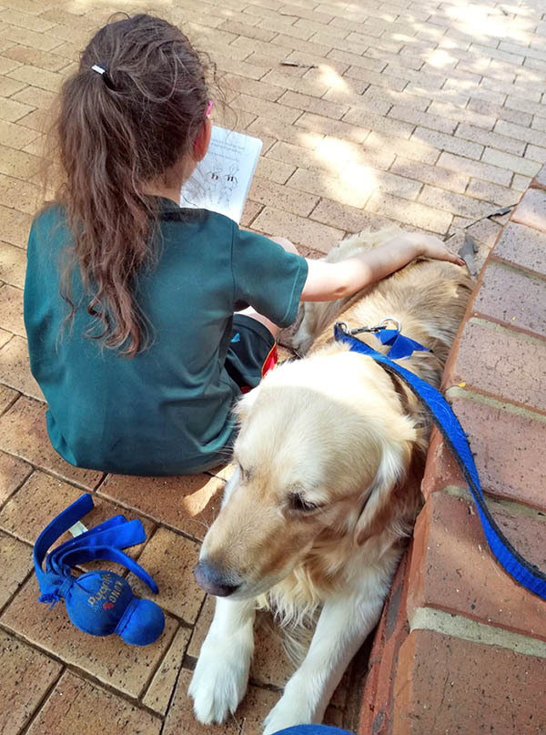 Read with Brody Therapy Dog
